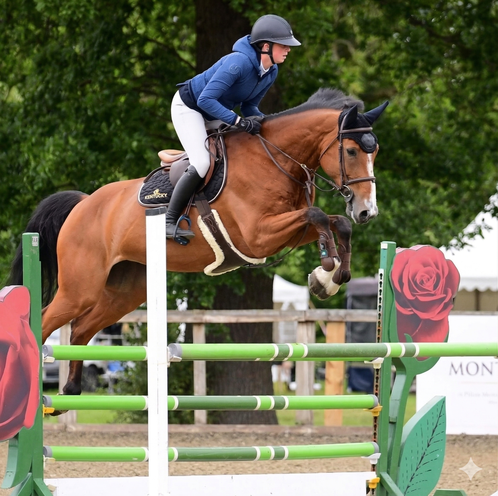 Emily Hillier riding instructor working with a horse in Shropshire, Cheshire and Wrexham